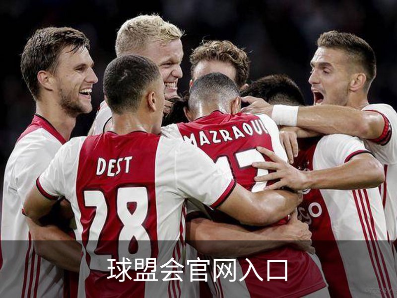 了解球盟会官网入口
